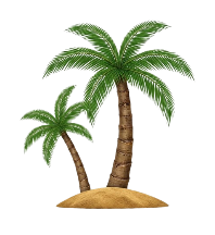Palm Tree